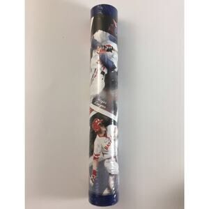Sanitas Classic Series Baseball Themed Wallpaper Border Major League